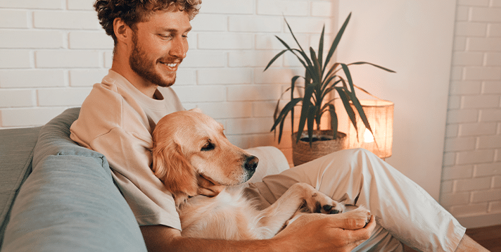 11 Cuddle Buddies  5 Dog Breeds That Love to Snuggle