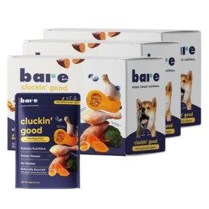 Puppy bundle (5 weeks)