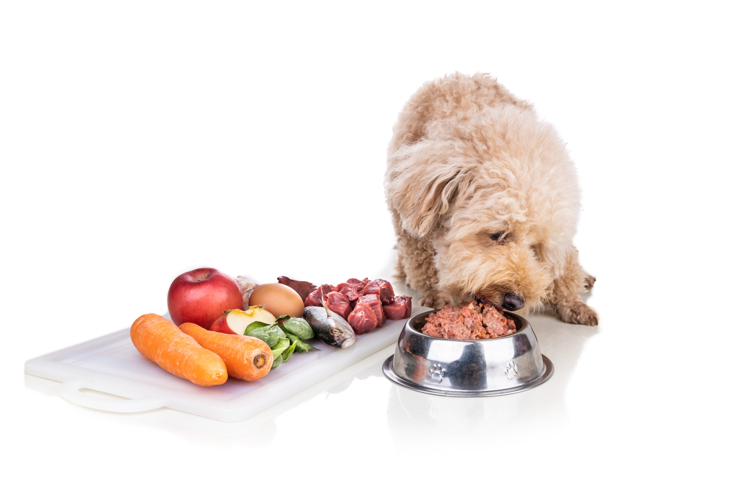 raw meat diet for dogs bare