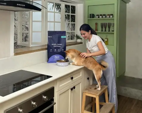 Best vet-approved dog food Philippines