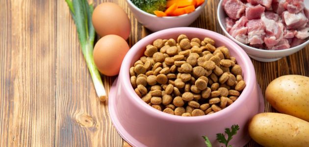 Bare as a healthy dog food brand