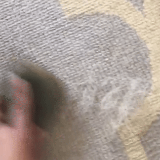 carpet