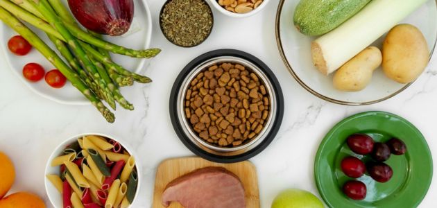 The Role of Vitamin C in Boosting Your Dog’s Immunity