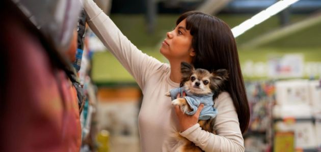 Where to Buy Joint Supplements for Dogs in Quezon City, Philippines